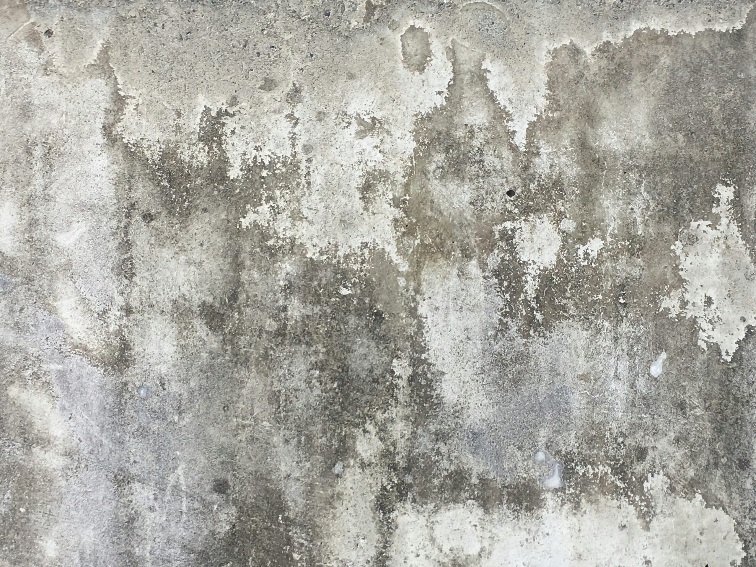 AC Mold Buildup